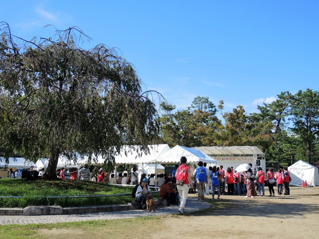 京都動物愛護フェスティバル