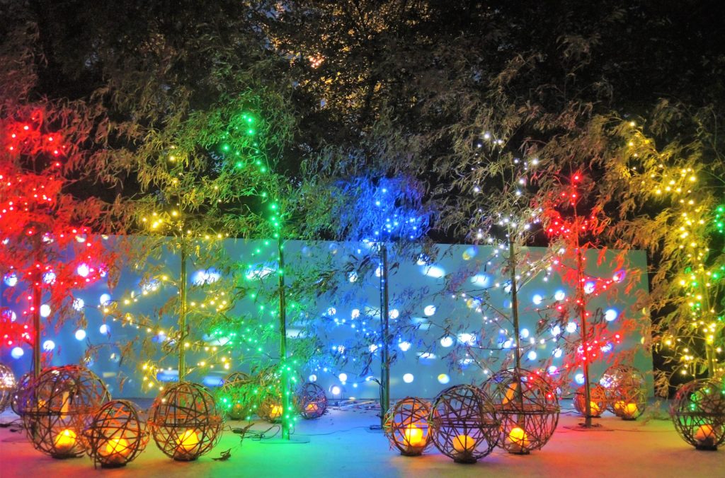 京都「京の七夕」鴨川納涼