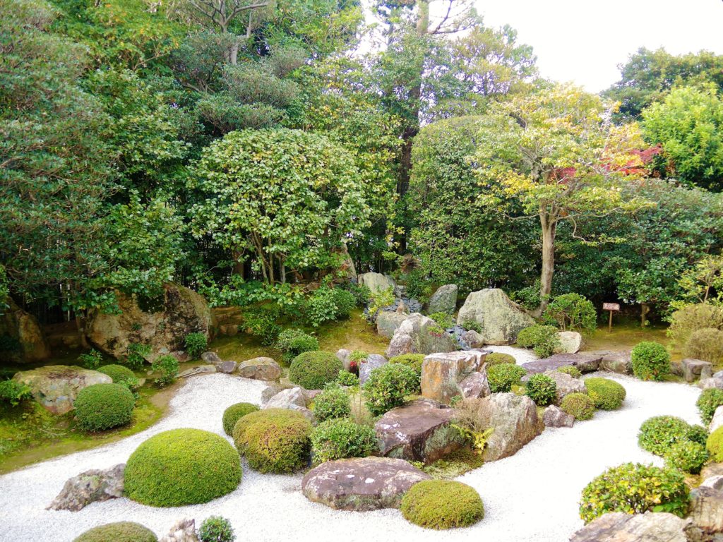 京都・妙心寺・退蔵院・庭園