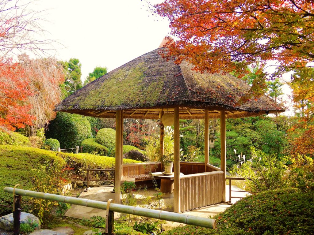 京都・妙心寺塔頭「退蔵院」紅葉