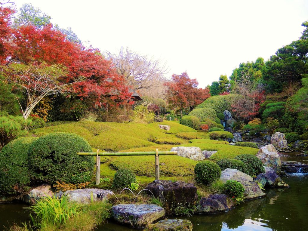 京都・妙心寺・退蔵院・紅葉