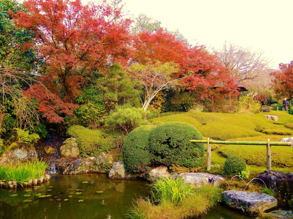 京都・妙心寺・退蔵院・紅葉