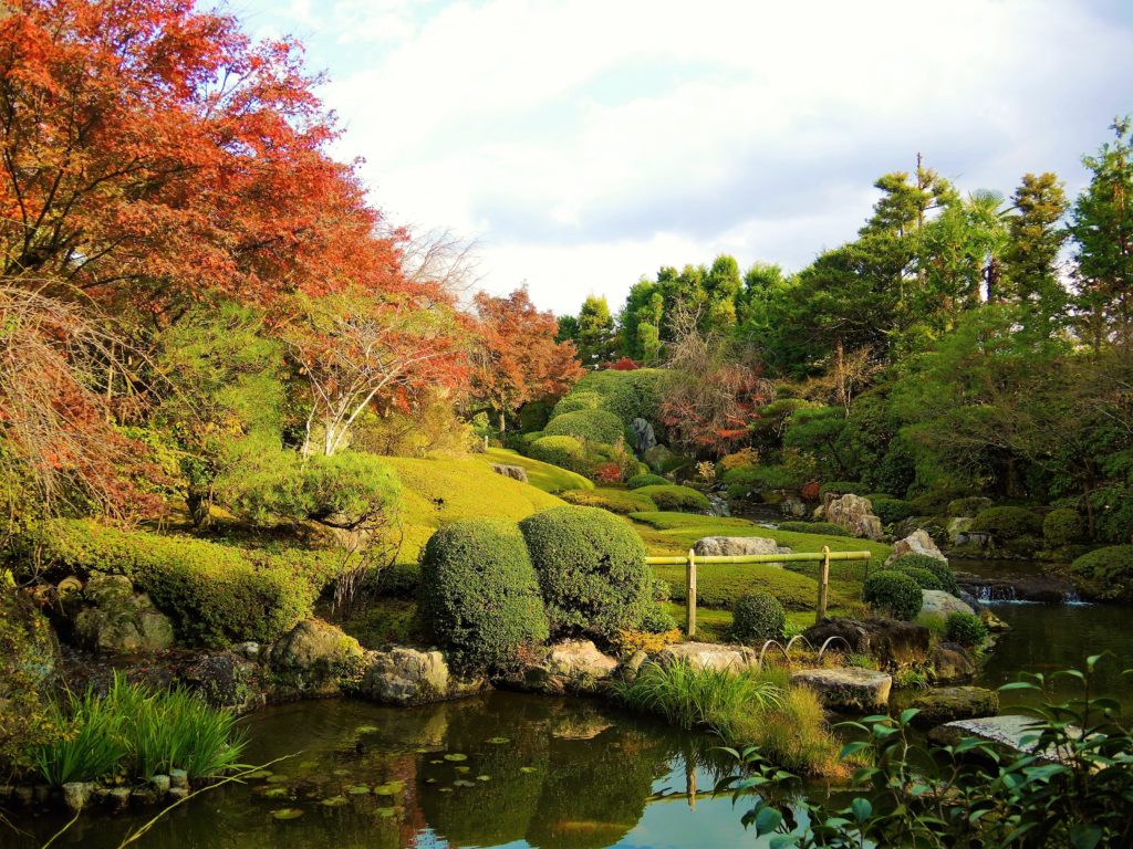 妙心寺・退蔵院・紅葉