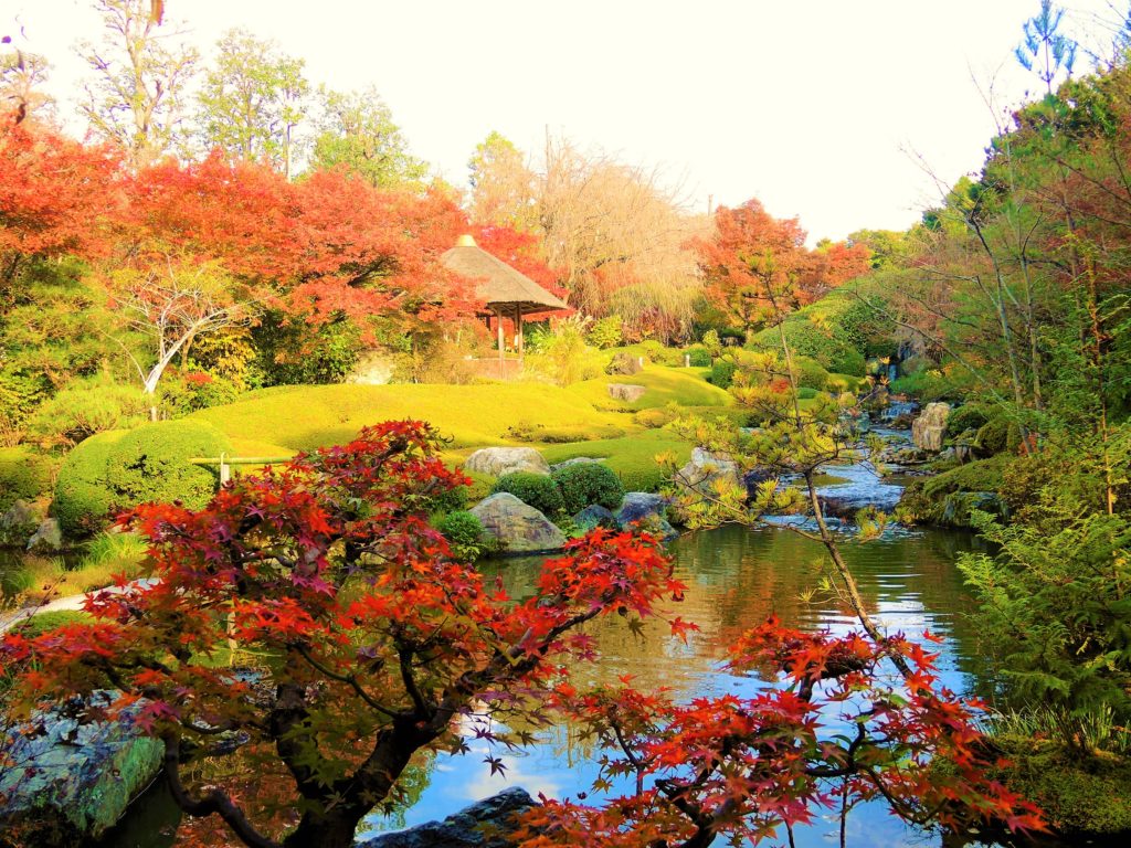 京都・妙心寺・退蔵院・紅葉