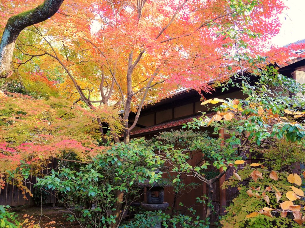 京都・妙心寺・退蔵院・紅葉