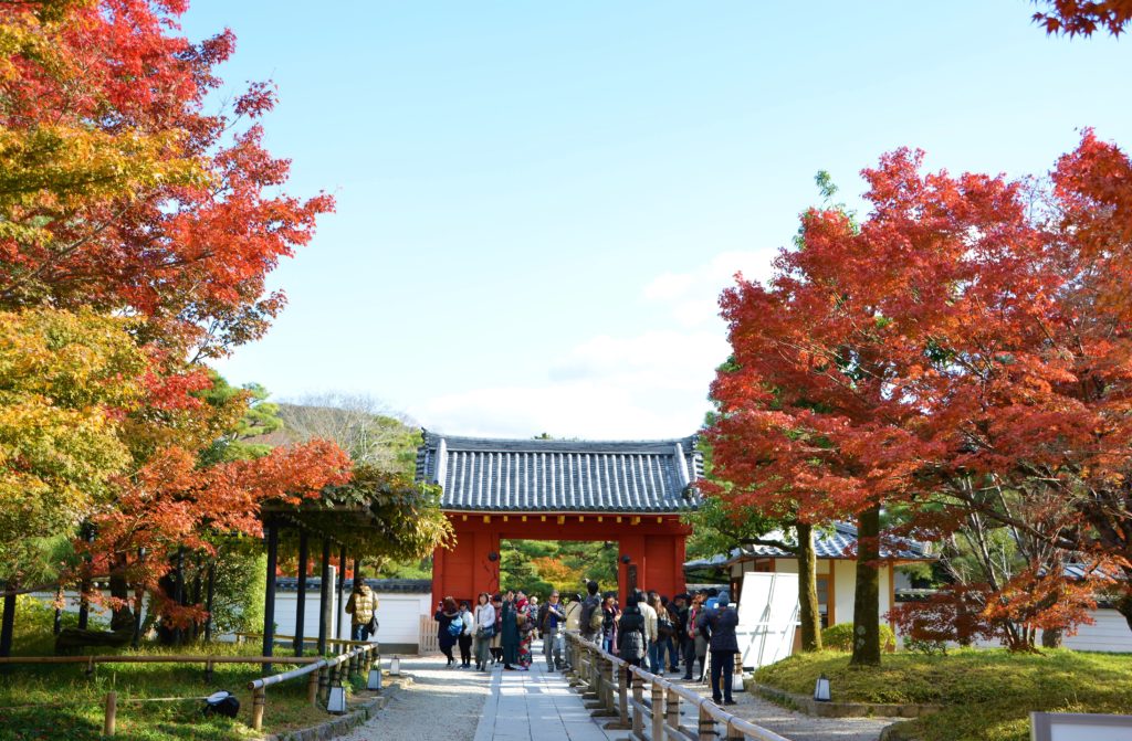 世界遺産・平等院
