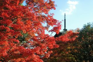 京都・真如堂の紅葉