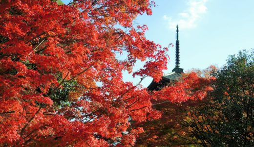 🍁 真如堂「真正極楽寺」の紅葉（2019年 JR東海「そうだ京都、行こう。」の寺院）