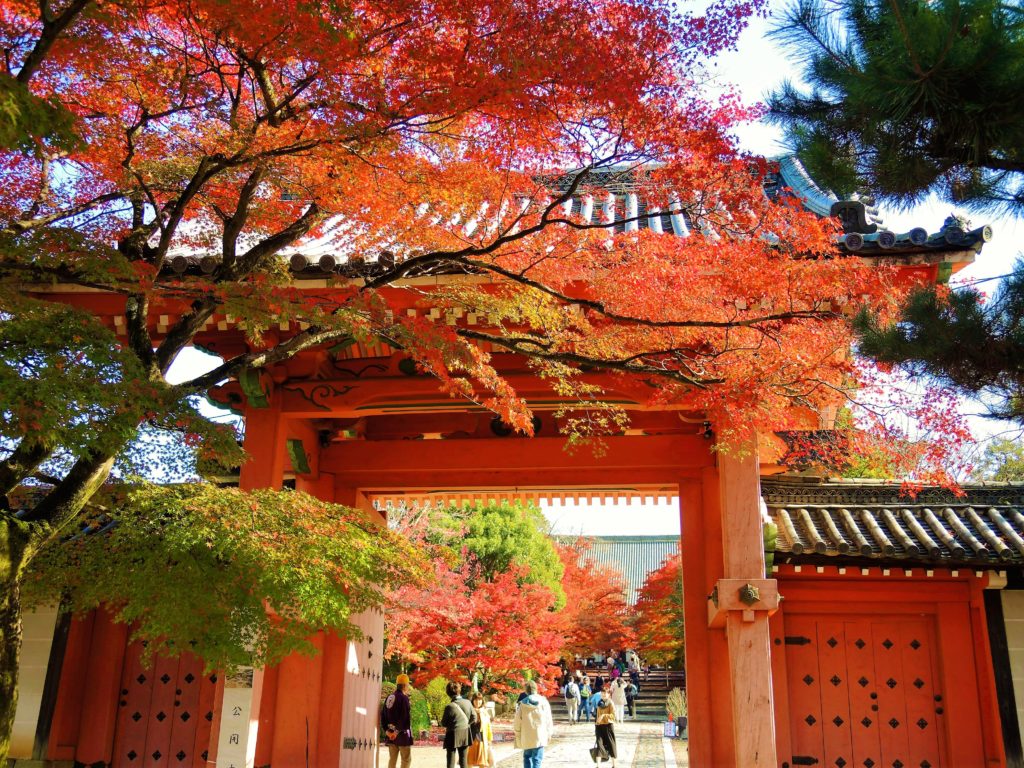 京都・真如堂・紅葉