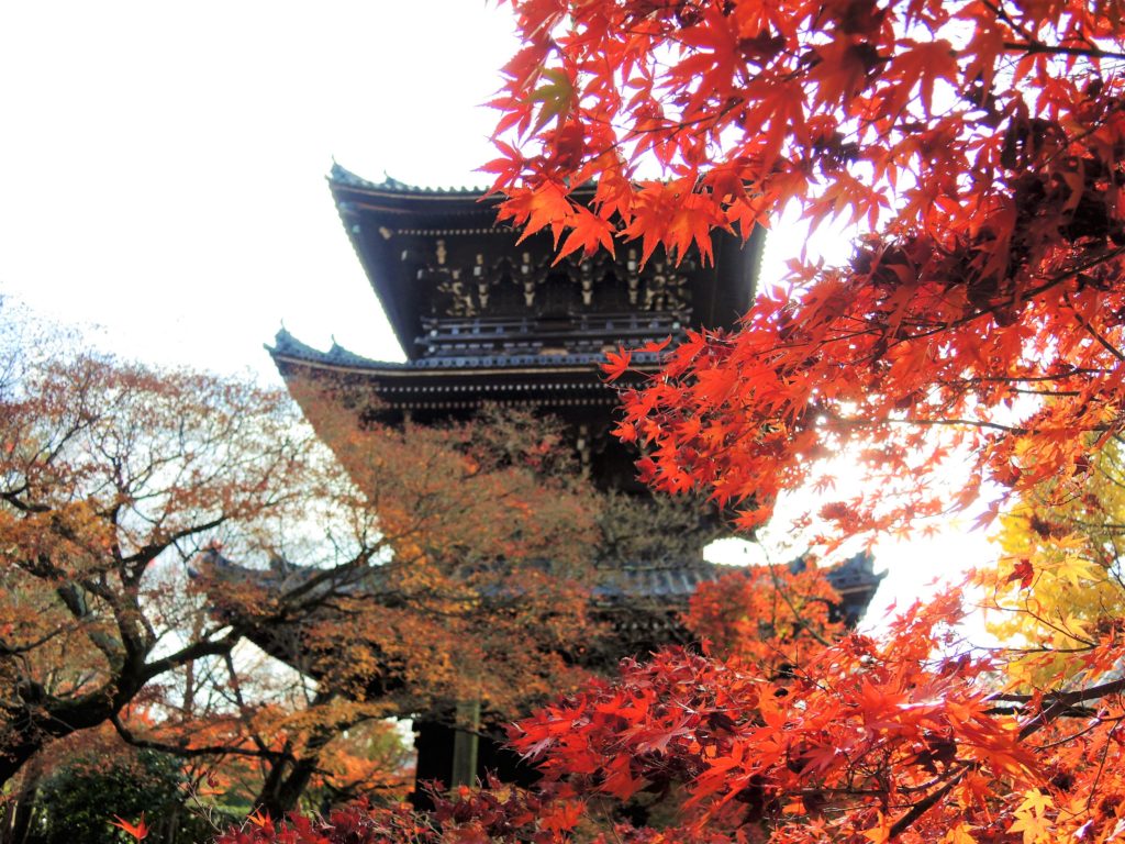 京都・真如堂・紅葉