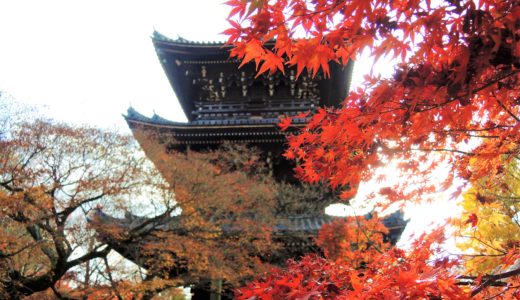 🍁 真如堂「真正極楽寺」の紅葉（2019年 JR東海「そうだ京都、行こう。」の寺院）
