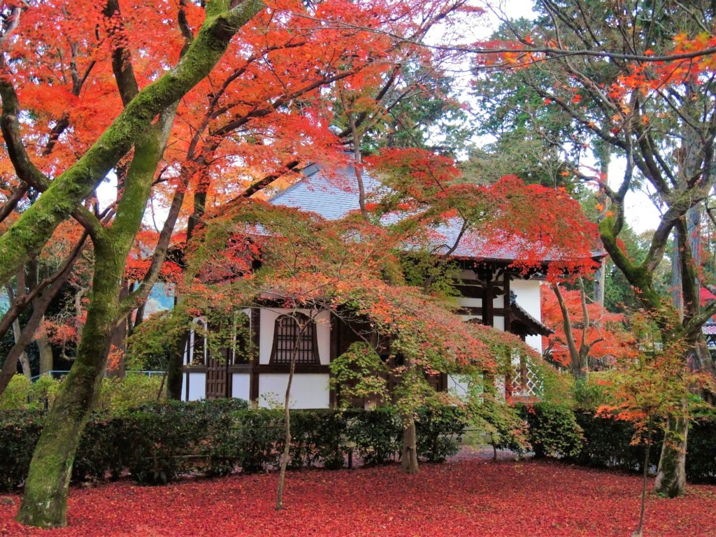 京都・真如堂・紅葉