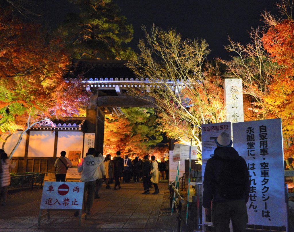 京都・永観堂・紅葉・ライトアップ