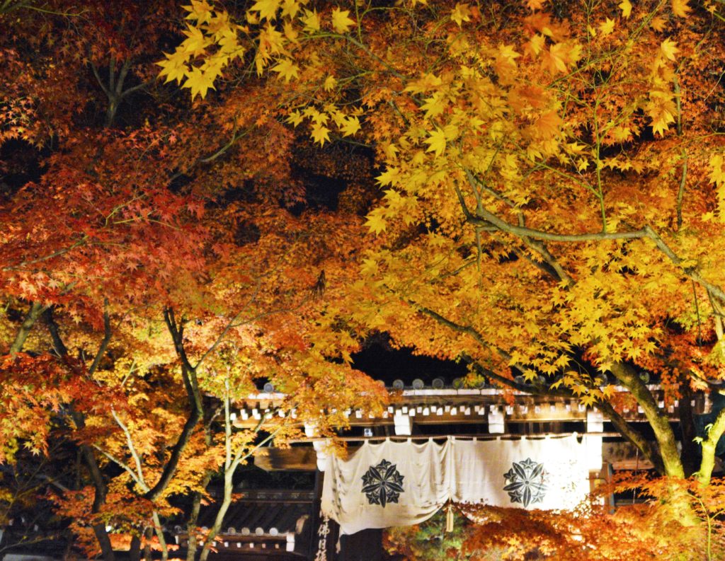 京都・永観堂・紅葉・ライトアップ