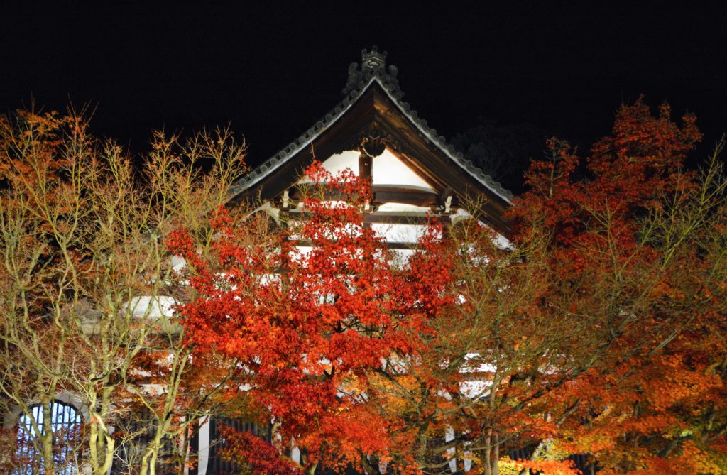 京都・永観堂・紅葉・ライトアップ