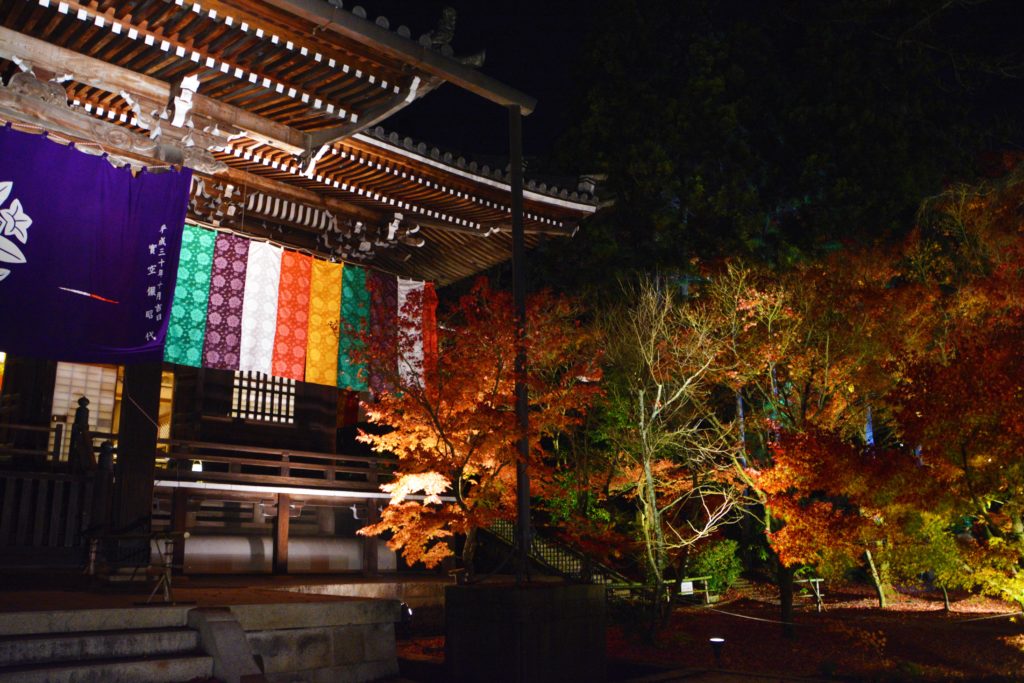 京都・永観堂・紅葉・ライトアップ
