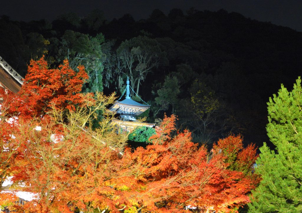 京都・永観堂・紅葉・ライトアップ