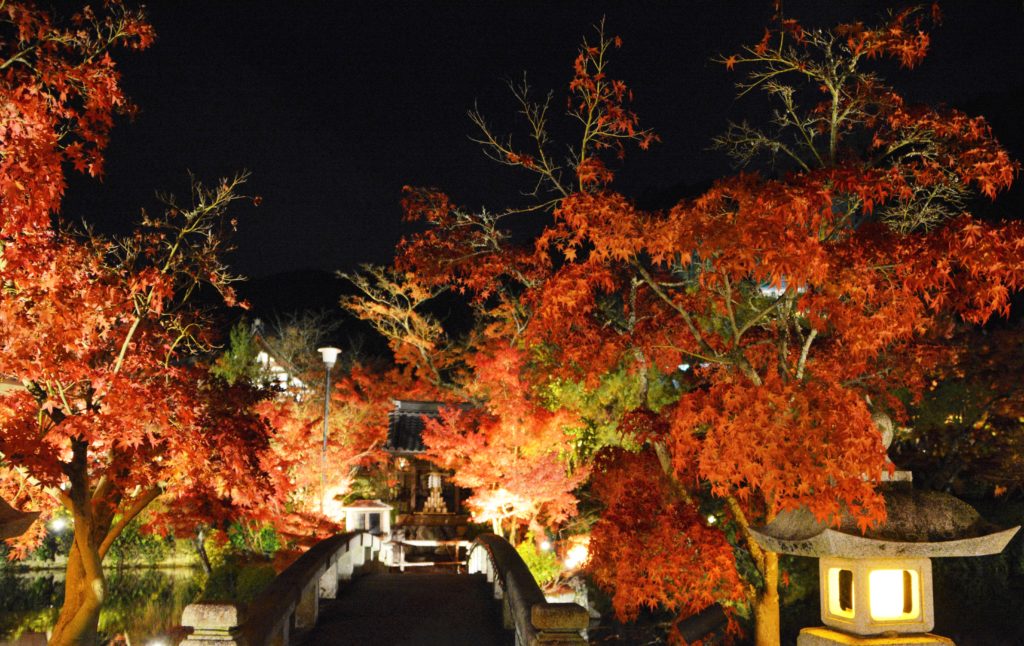 京都・永観堂・紅葉・ライトアップ