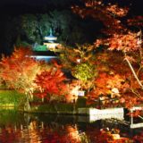 京都・永観堂・紅葉・ライトアップ