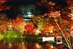 京都・永観堂・紅葉・ライトアップ