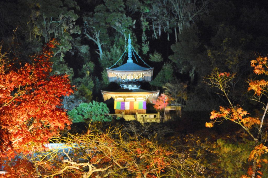 京都・永観堂・紅葉・ライトアップ