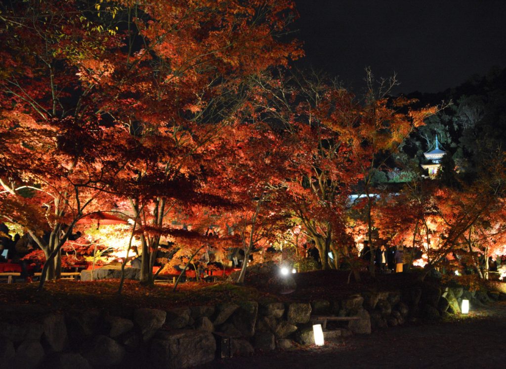 京都・永観堂・紅葉・ライトアップ