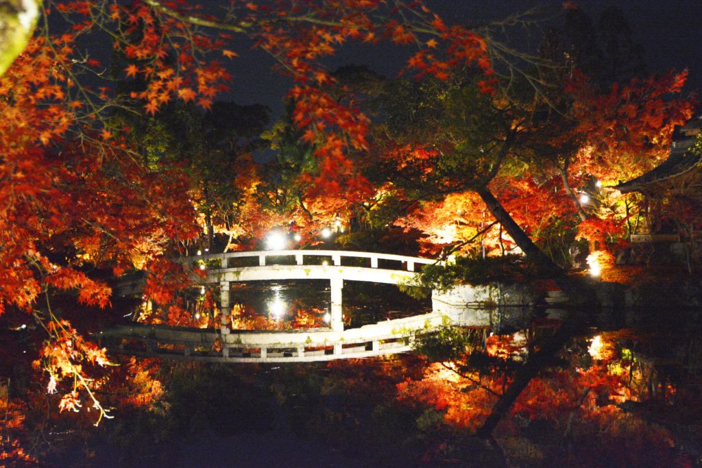 京都・永観堂・紅葉・ライトアップ