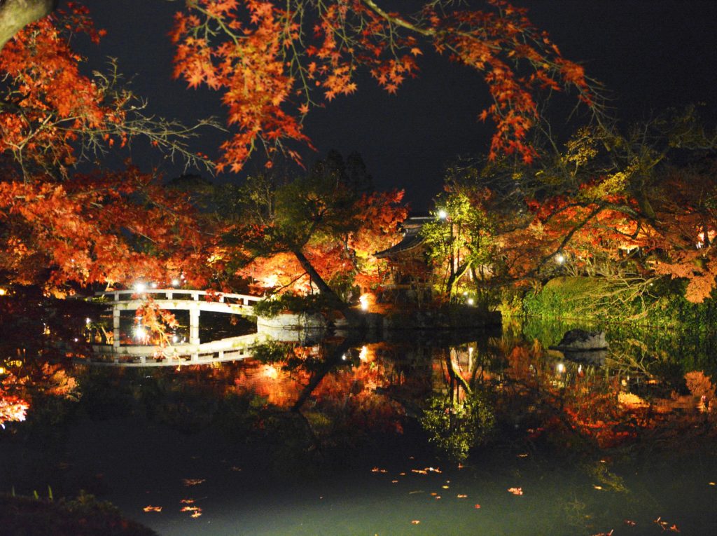 京都・永観堂・紅葉・ライトアップ