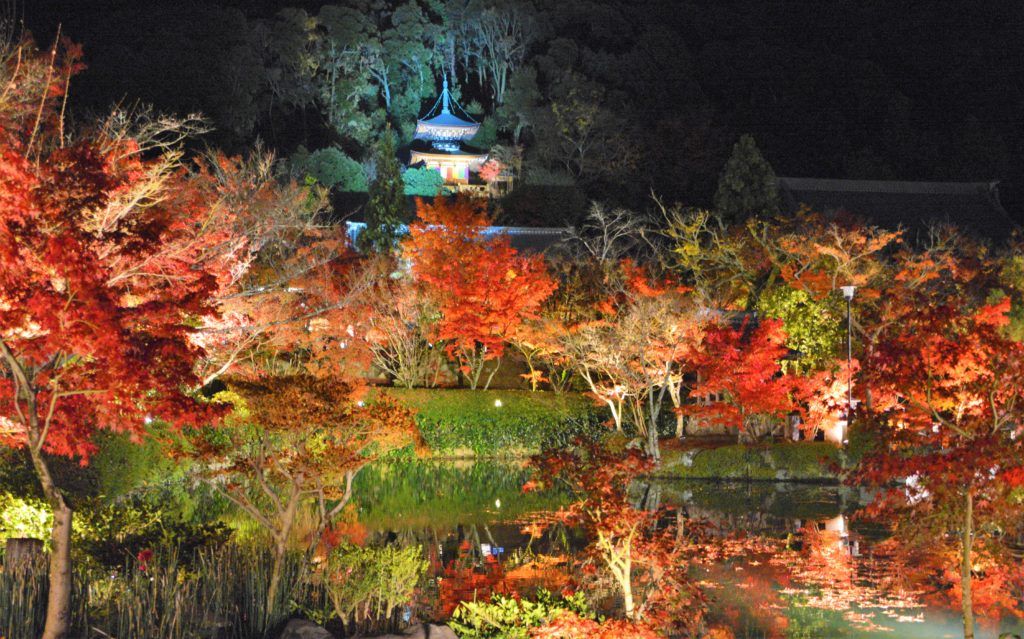 京都・永観堂・紅葉・ライトアップ