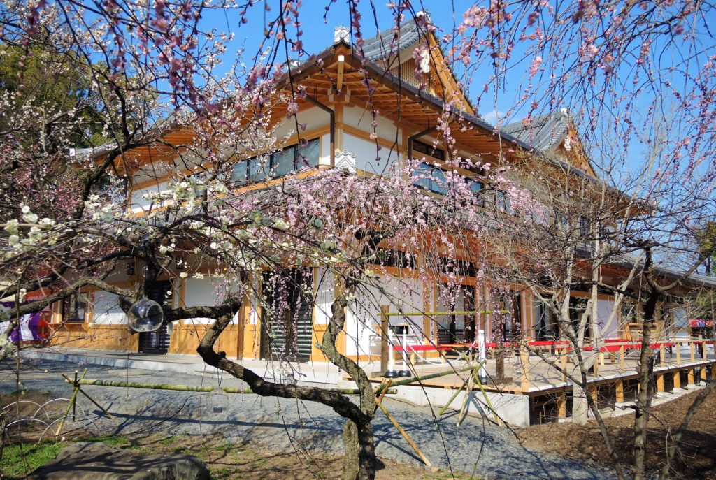 京都・北野天満宮・梅苑