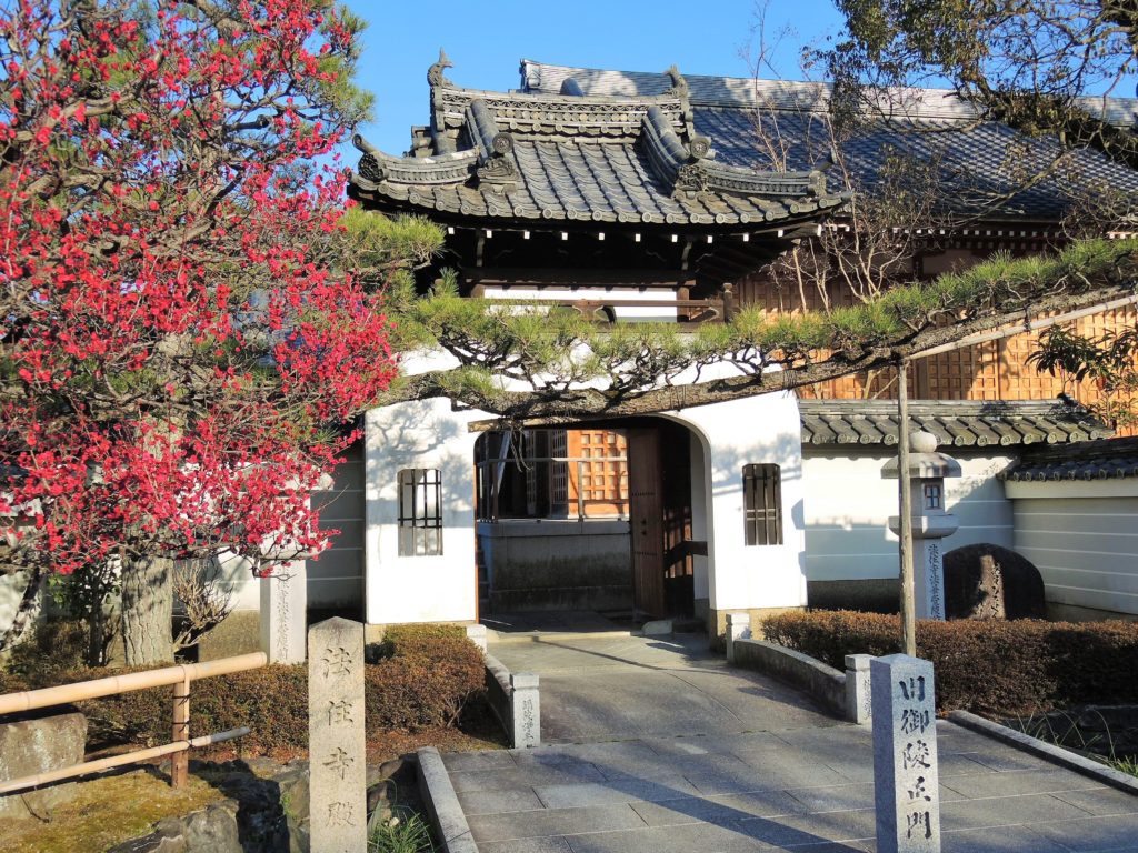 京都・法住寺・梅