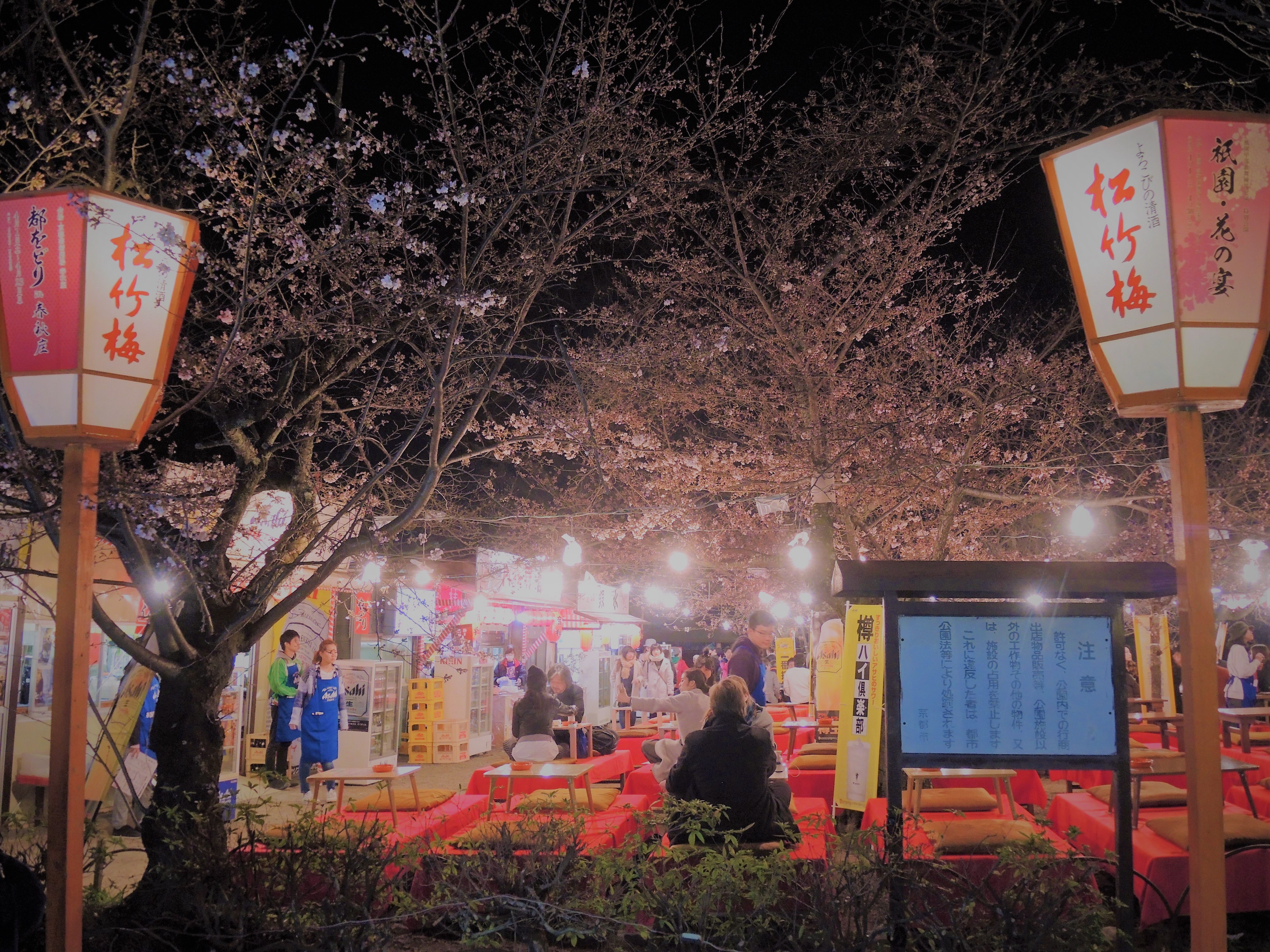 🌸🍶 2024 京都・祇園・円山公園「花見茶屋」のご案内 Hanami Chaya