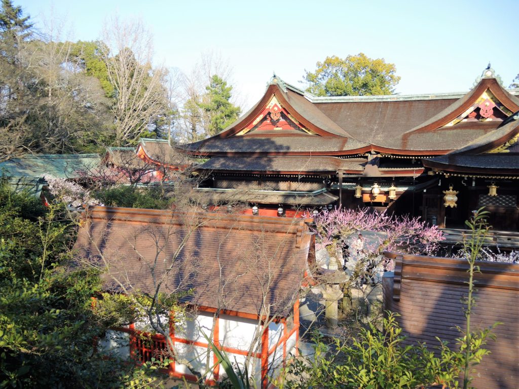 京都・菅原道真「北野天満宮」梅