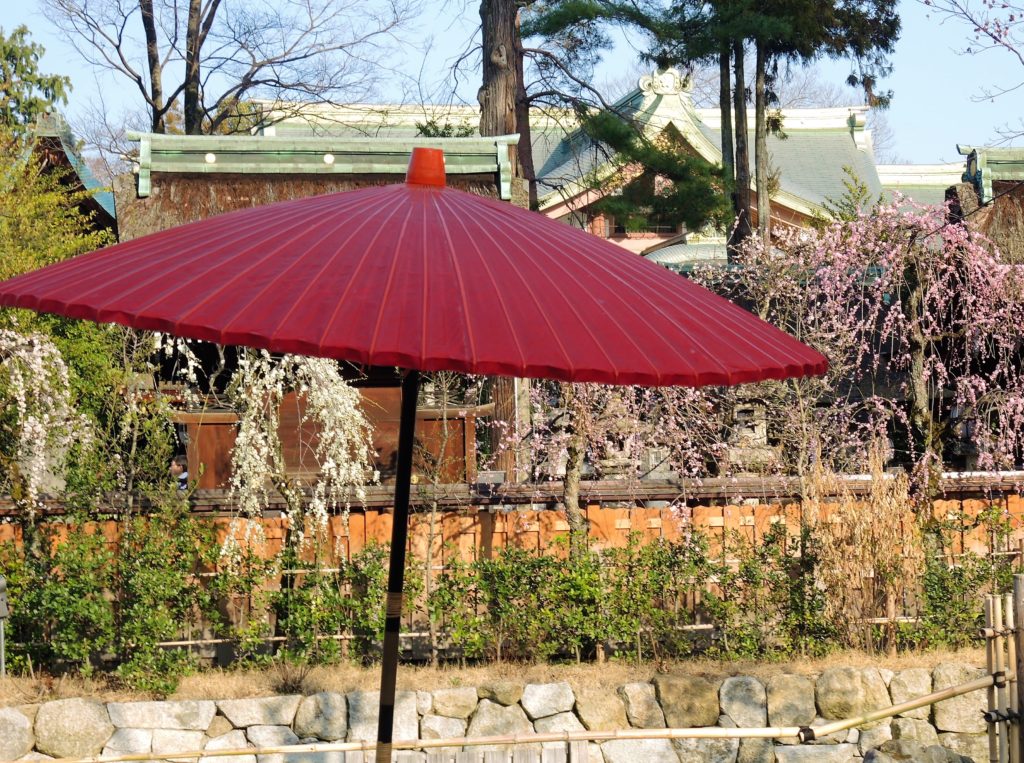 京都「北野天満宮」梅苑