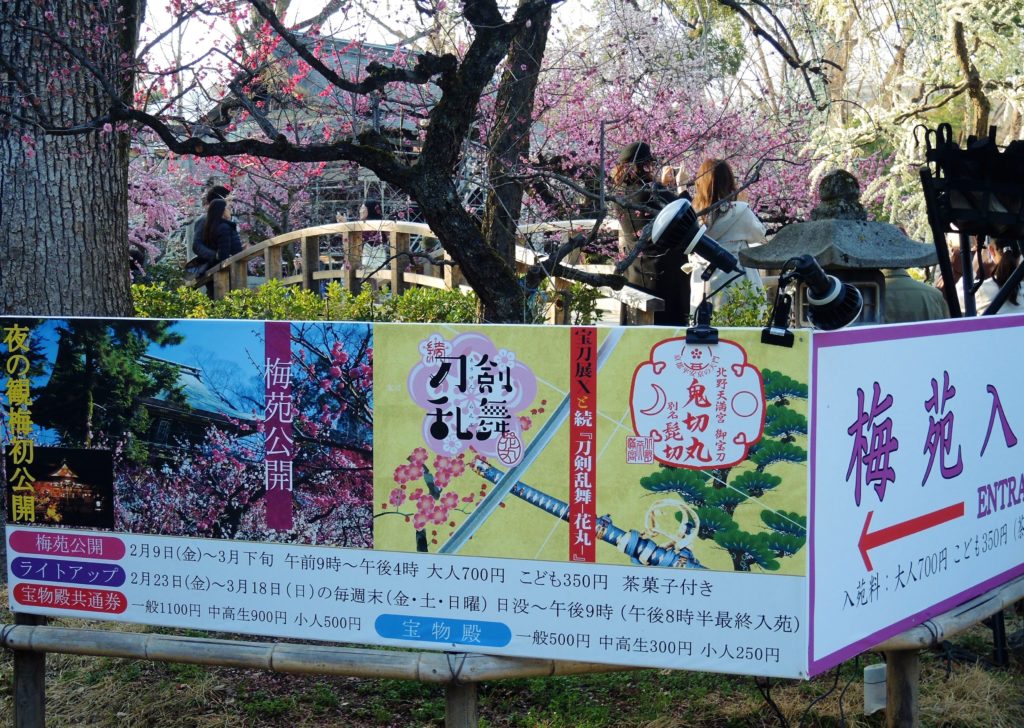 京都「北野天満宮」梅苑