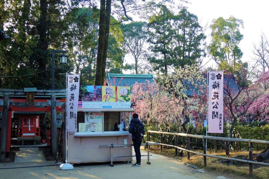 京都「北野天満宮」梅苑