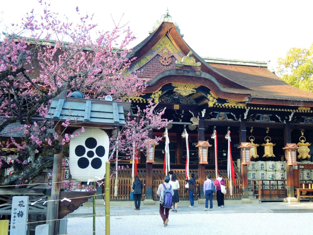 京都・菅原道真「北野天満宮」梅