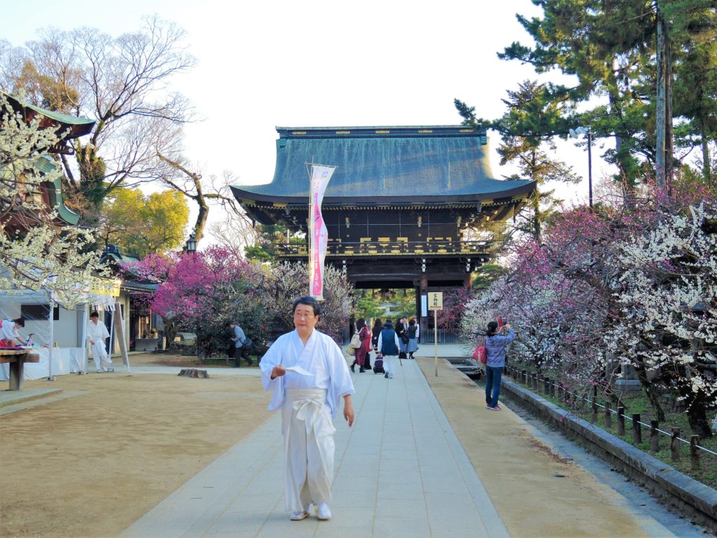 京都「北野天満宮」梅