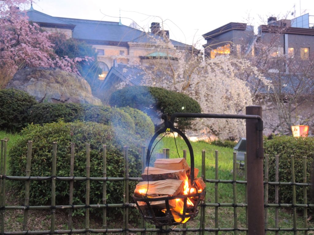 京都・円山公園・祇園枝垂桜と篝火