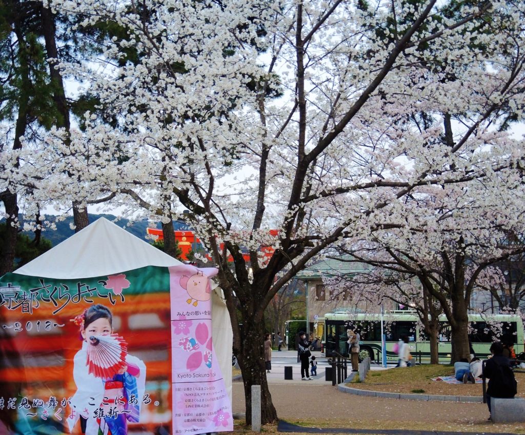 京都さくらよさこい