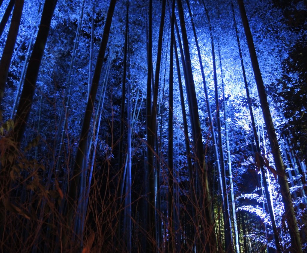 京都・嵐山花灯路・竹林の小径・ライトアップ