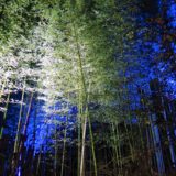 京都・嵐山花灯路・竹林