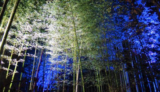✨2021年 京都「嵐山花灯路」～17年の歴史に幕～竹林の小径・幻想的なライトアップのご案内