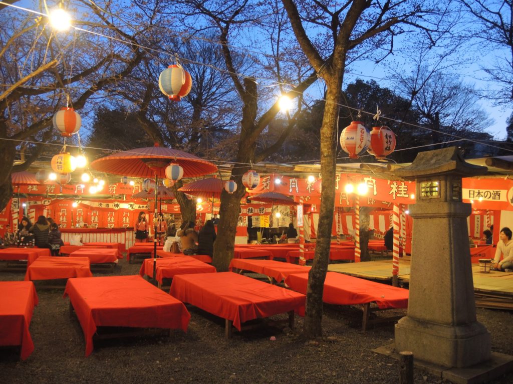 京都「平野神社」桜