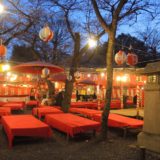 京都「平野神社」桜