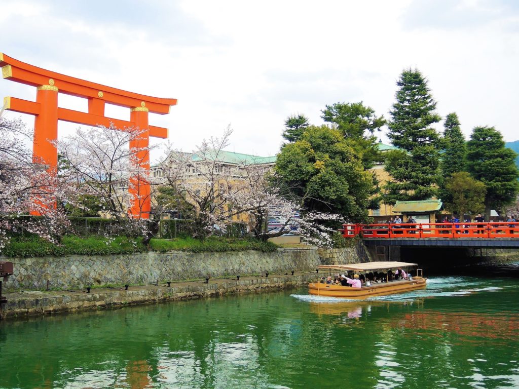 京都・岡崎疎水「桜回廊」十石舟