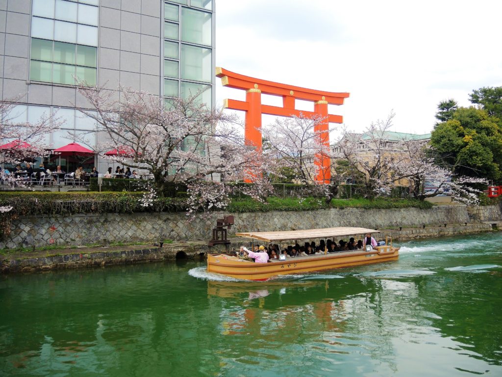 京都・岡崎疎水「桜回廊」十石舟