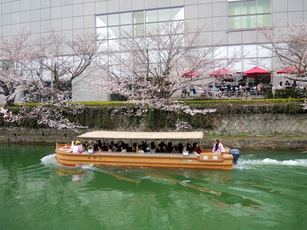 京都・岡崎疎水「桜回廊」十石舟