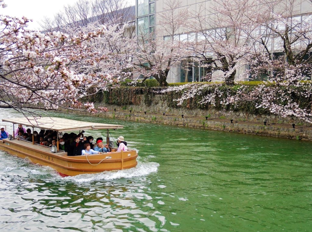 京都・岡崎疎水「桜回廊」十石舟