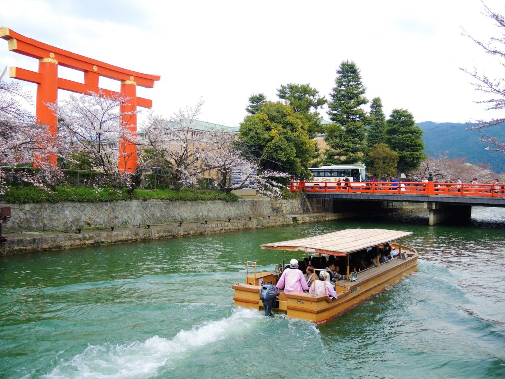 京都・岡崎疎水「桜回廊」十石舟